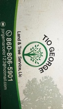 Avatar for Tio George Land and Tree Service LLC