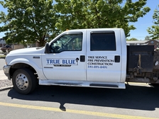 Avatar for True Blue Tree Service and Construction, LLC