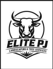 Avatar for Elite PJ Landscaping & Tree Services