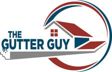 Avatar for The Gutter Guy