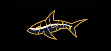 Avatar for Gallant Handyman Service
