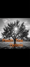 Avatar for Peach Tree Options LLC