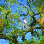 Avatar for J&J Tree Service