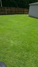 Avatar for E and E Lawncare