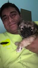 Avatar for Chelito's Remodeling, LLC