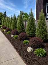 Avatar for Díaz Landscaping & concrete LLC