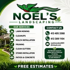 Avatar for Noel's Landscaping