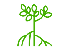 Avatar for Mangrove Landscape Management LLC