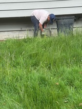 Avatar for Triple C Landscaping