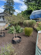 Avatar for Triple C Landscaping