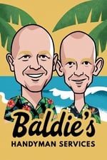 Avatar for BALDIE'S HANDYMAN SERVICES LLC