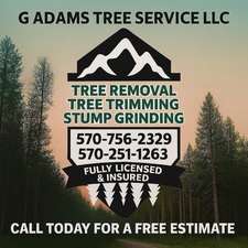 Avatar for G Adams Tree Service LLC