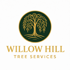 Avatar for Willow hill tree service llc