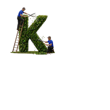 Avatar for Caleb's Landscaping
