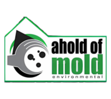 Avatar for Ahold of Mold Environmental of Florida LLC