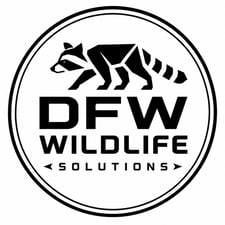 Logo for DFW Wildlife Solutions