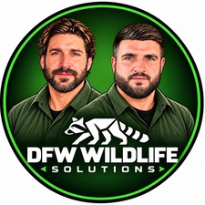 Avatar for DFW Wildlife Solutions