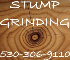 Avatar for Sly Park Stump Grinding
