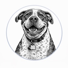 Avatar for Vinnys Yard Care