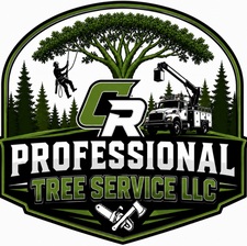 Avatar for CR PROFESSIONAL TREE SERVICE LLC