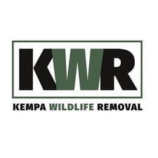 Avatar for KEMPA WILDLIFE REMOVAL LLC