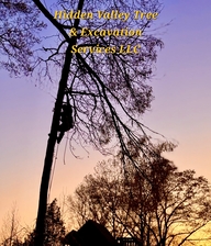 Avatar for Hidden Valley Tree & Excavation Services LLC