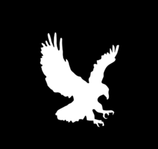 Logo for Blackhawk Enterprises LLC