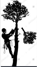Avatar for Bark Side of the Wood