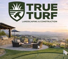 Avatar for TRUE LANDSCAPING & CONSTRUCTION, LLC
