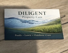 Avatar for Diligent Pool Services Inc.
