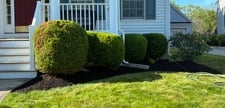 Avatar for Junior Landscaping Services