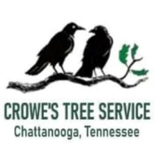 Avatar for Crowe's Tree Service Experts