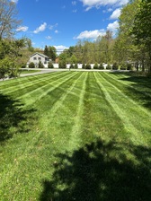 Logo for NIZOLEKS LAWN CARE LLC