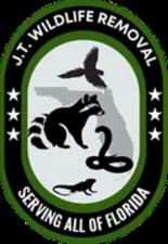 Avatar for JT Wild Life Removal