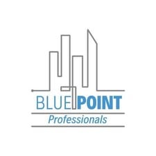 Logo for Blue Point Professionals