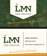 Avatar for LMN TREE SERVICES, LLC