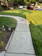 Avatar for Jorge Zendejas Landscaping