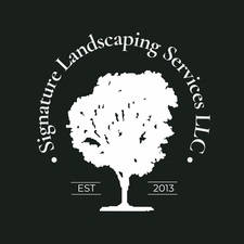 Avatar for Signature landscaping services