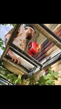 Avatar for Platinum Painting & Log Home Restoration