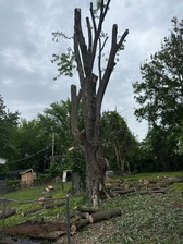 Avatar for Two Friends Tree Service