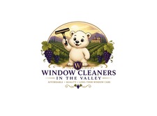 Avatar for Window Cleaners In The Valley