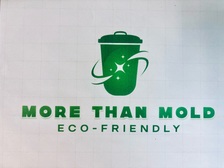 Avatar for More than Mold