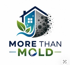 Avatar for More than Mold
