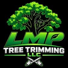 Logo for L.M.P. SERVICES LLC