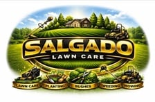 Avatar for Salgado Lawn care