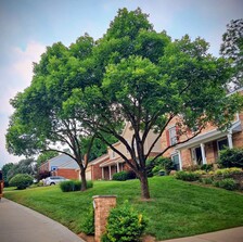 Avatar for Jeff's Clean Tree Service