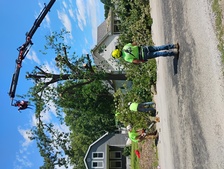 Avatar for HD tree service