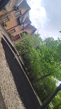 Tall Wood Tree and Landscaping Experts logo