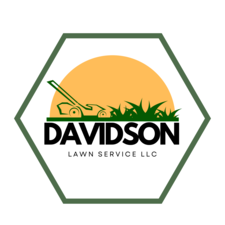 Avatar for Brandon Davidson
