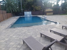 DYNASTY POOL MAINTENANCE logo